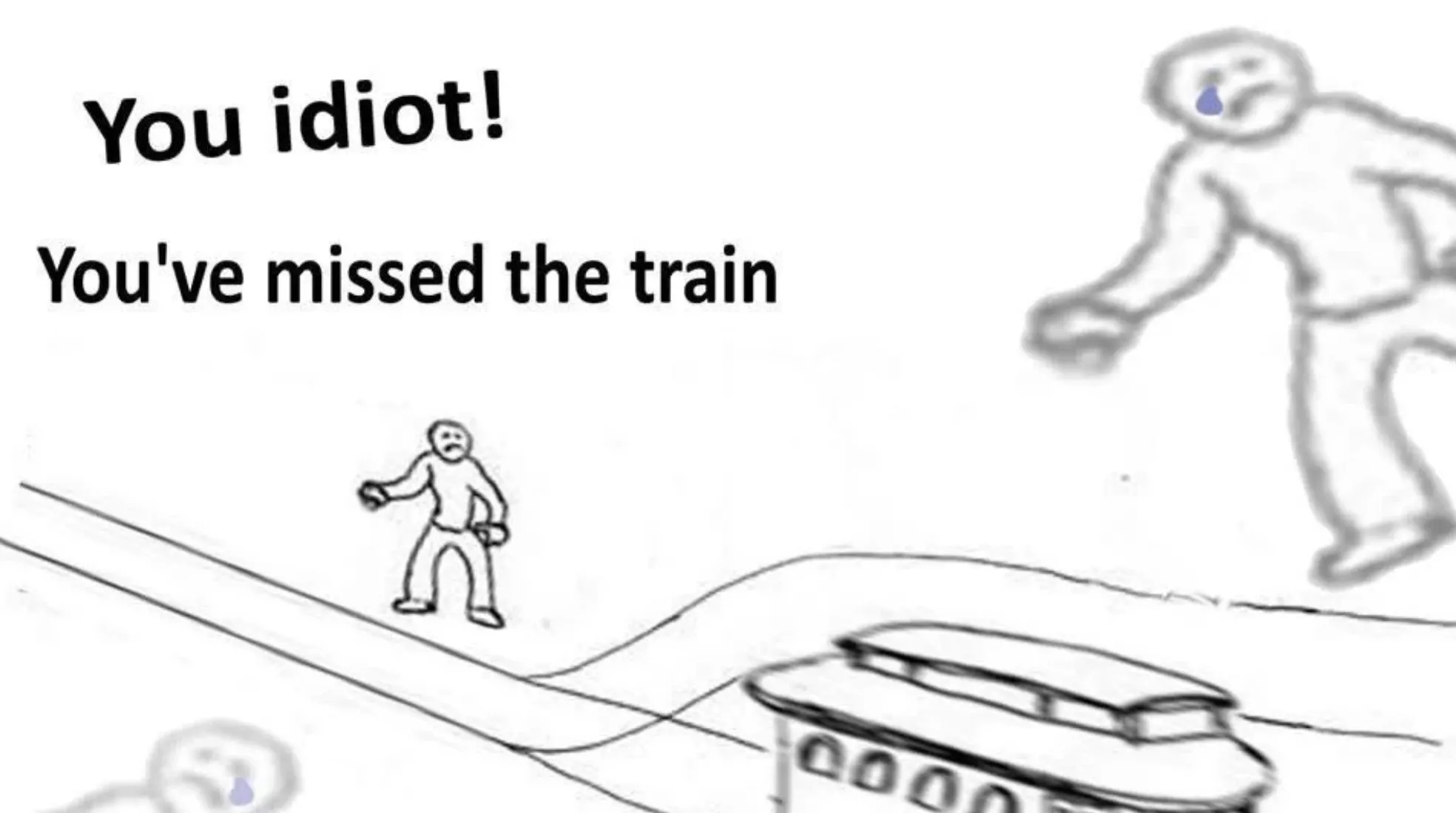 You idiot!
